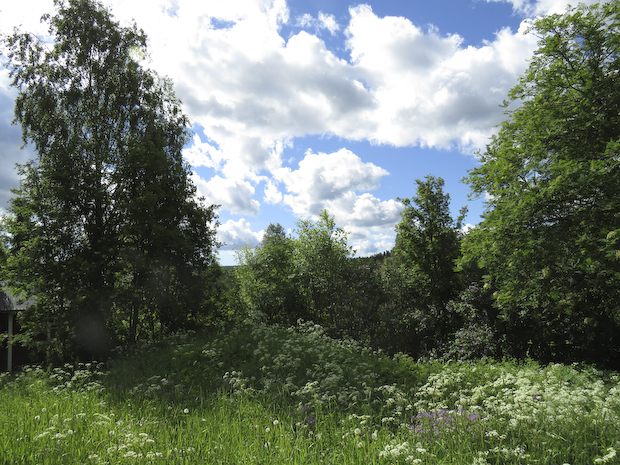 sommar